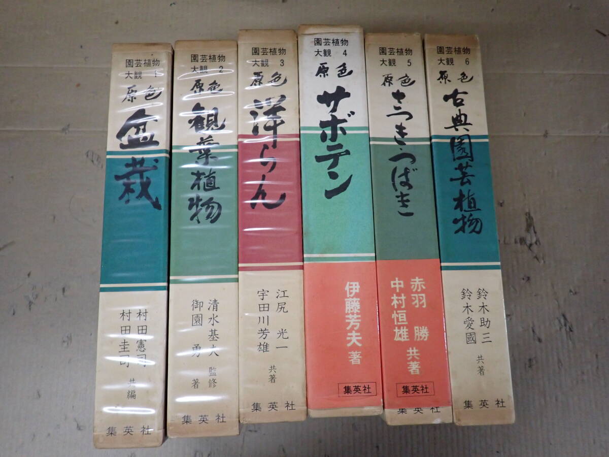 T13Dё 園芸植物大観 全6巻 原色 盆栽/観葉植物/洋らん/サボテン/さつき・つばき/古典園芸植物 まとめて6冊セット 集英社