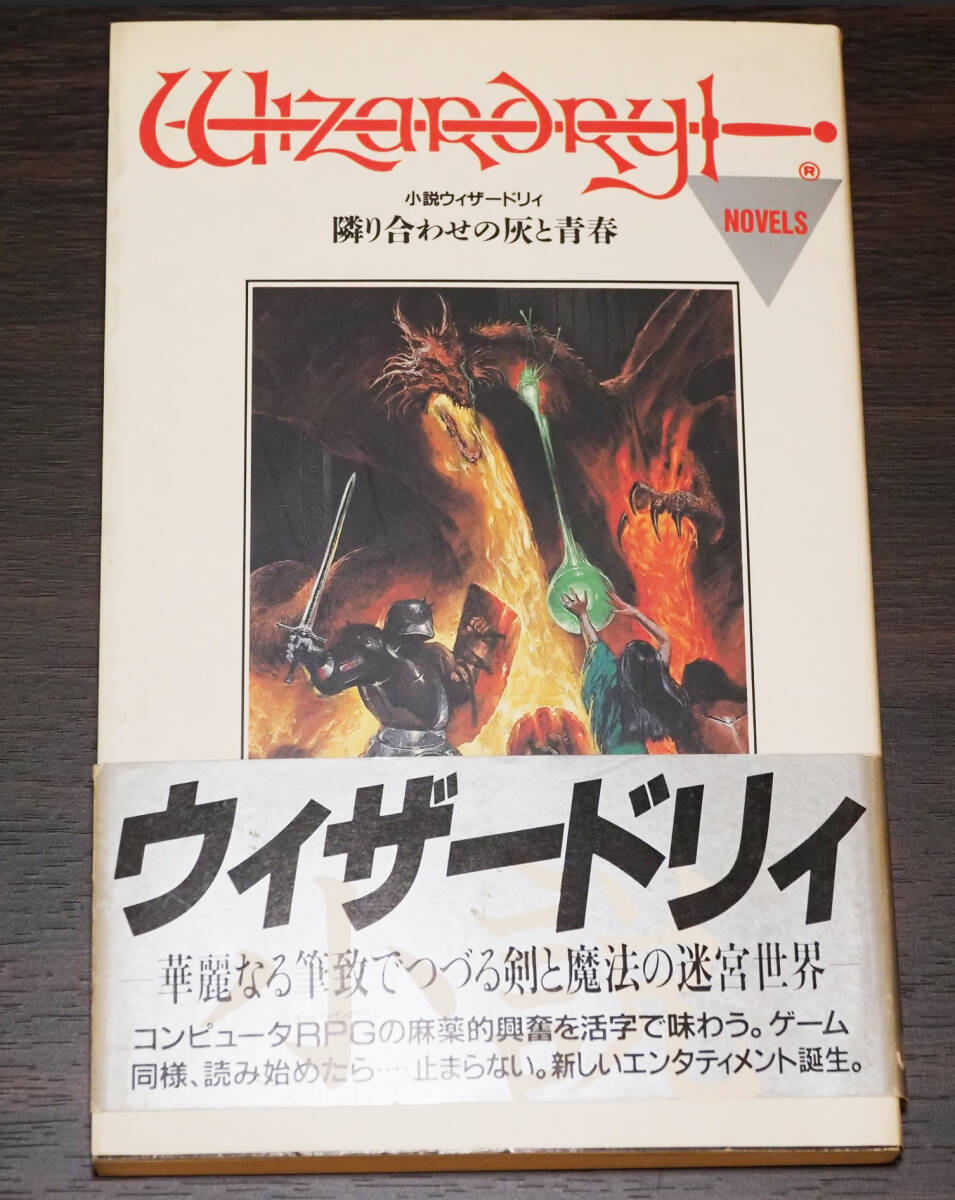 小説 ウィザードリィ 隣り合わせの灰と青春