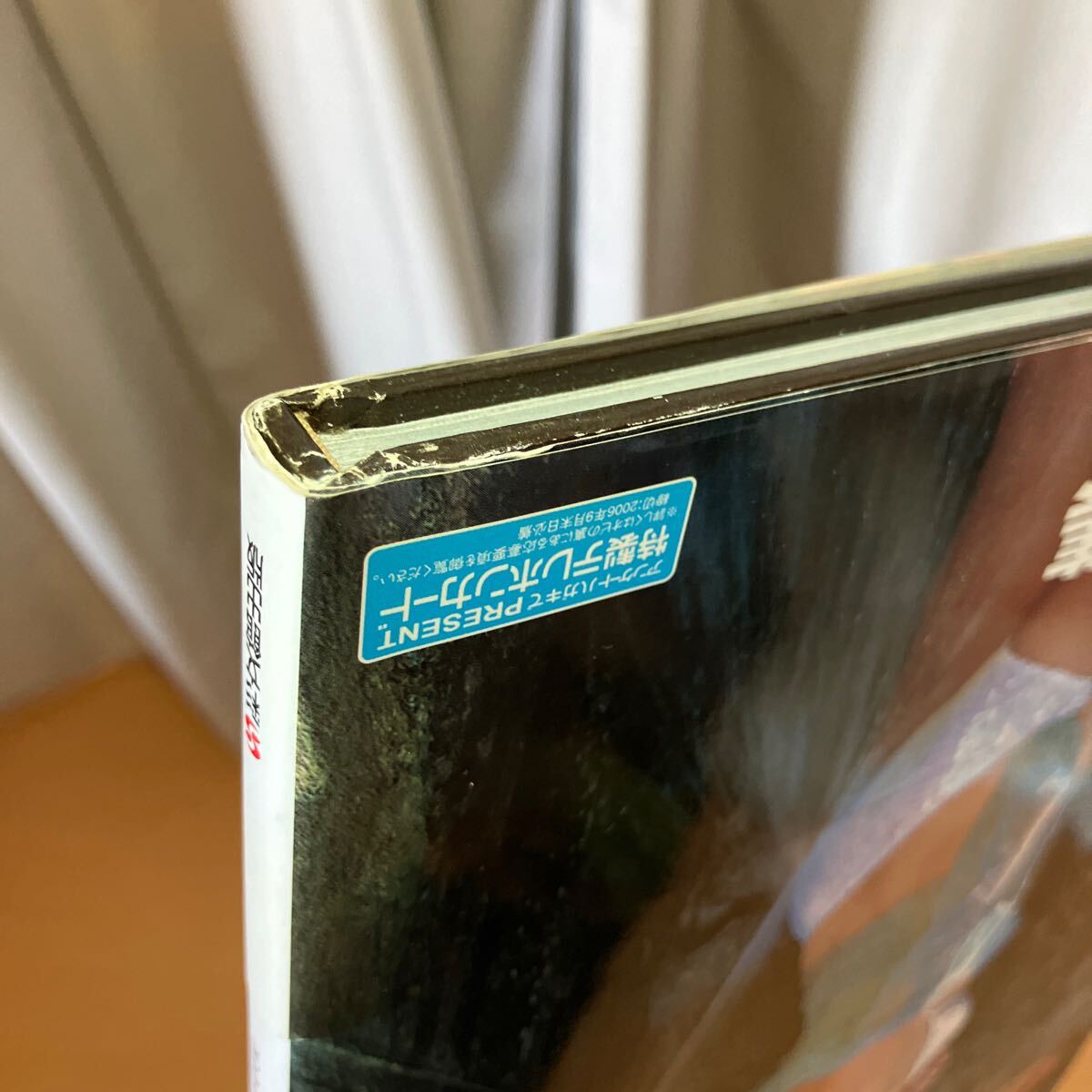 （初版）満島ひかり 写真集 The Moment of Passion F1SCENE 2009 vol.1 A WHOLE NEW WORLD