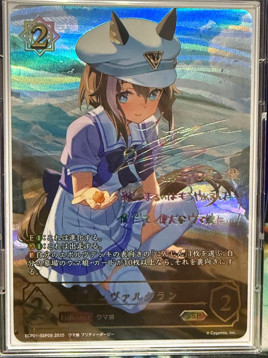 10054円 1BOX AVC ジューシーハニー LUXURY EDITION 2025 - その他 10054円 1BOX AVC ジューシーハニー LUXURY EDITION 2025 - その他