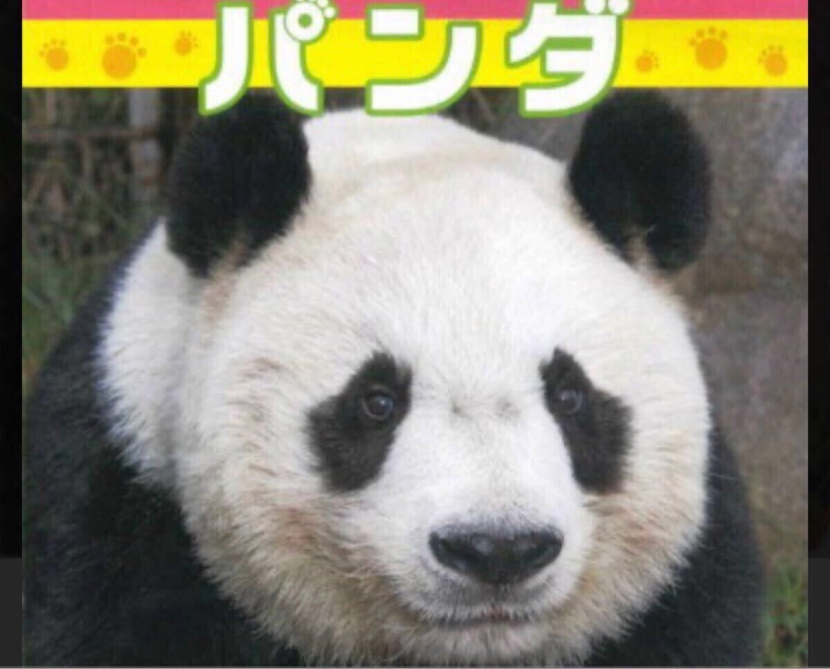 5372円 ☆絶版☆入手困難☆王子動物園 タンタン表紙 えほん 5372円 ☆絶版☆入手困難☆王子動物園 タンタン表紙 えほん
