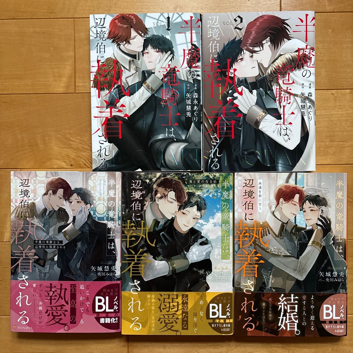 半魔の竜騎士は、辺境伯に執着される　小説全3巻　漫画１〜2巻（既刊）