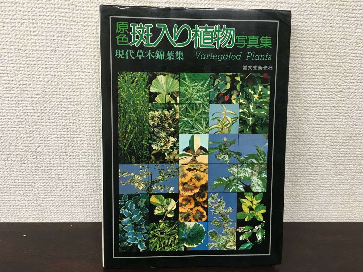 原色班入り植物写真集・現代草木錦葉集・ガーデンライフ別冊　誠文堂新光社【裏表紙に書き込み有（写真添付）】
