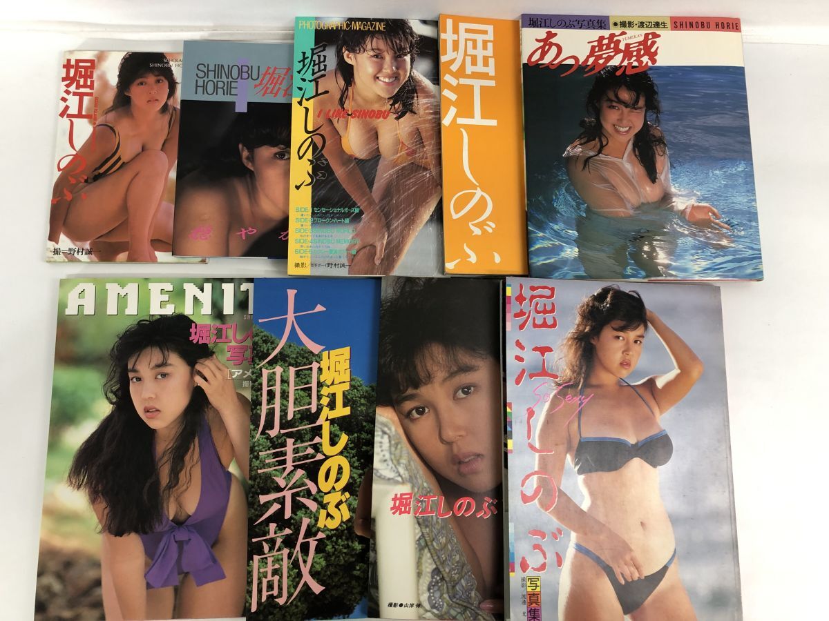 クリスマスファッション 堀江しのぶ 写真集 まとめ/計9冊セット/穏やかな時・あっ夢感・大胆素敵 など その他