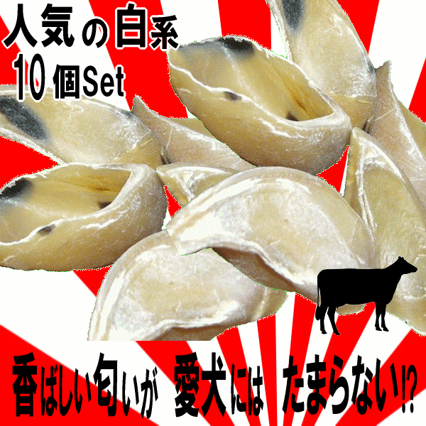 ■3777円～【牛のヒヅメ 白系】10個入　人気のホワイト系の牛蹄ひづめを厳選しました 愛犬おやつの超ナチュラルスナック　ストレス解消にも