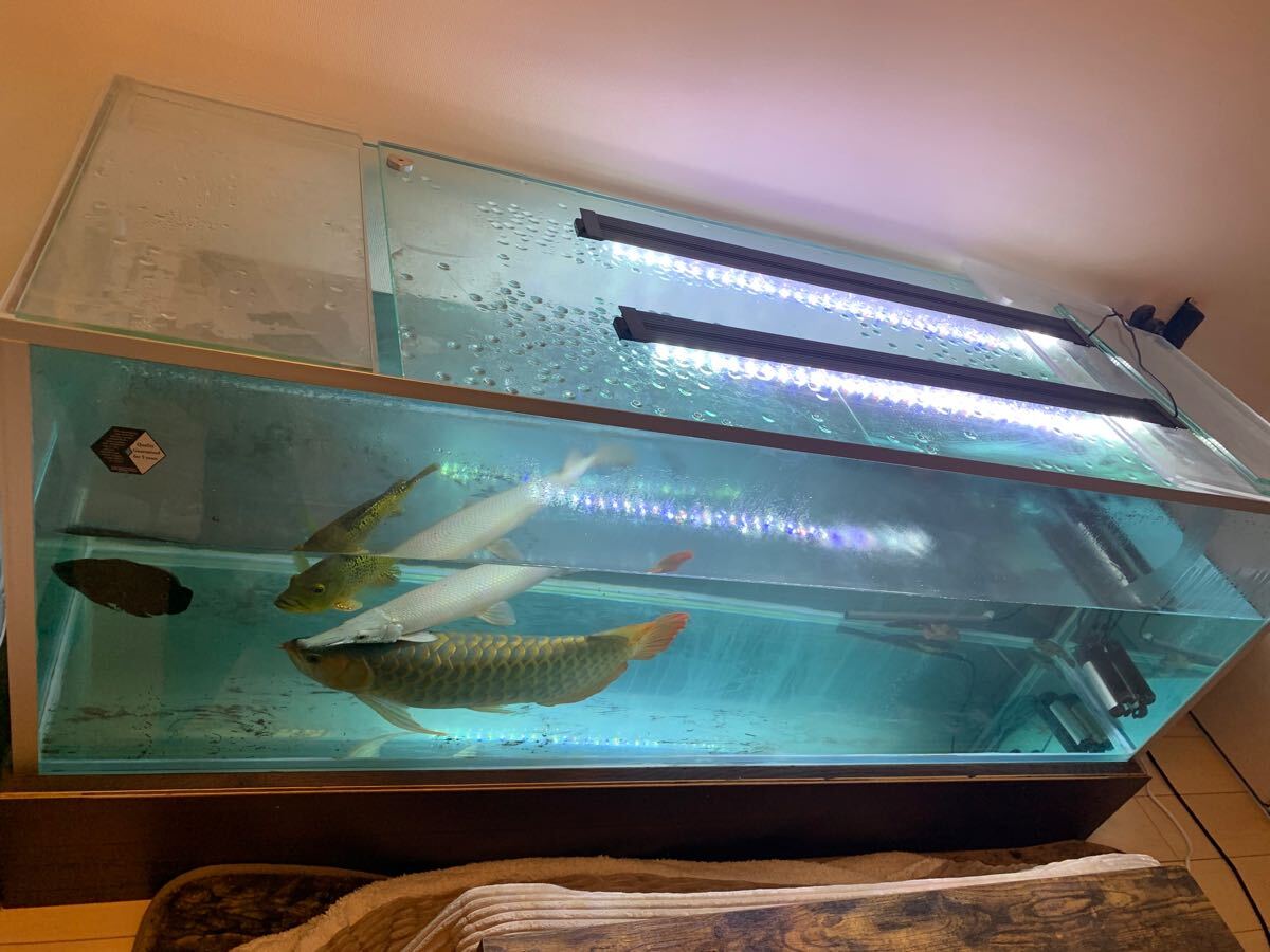 ガラス水槽用 ADA 1800/600/600 水槽 水槽台 ガラス蓋 外部 ガラス水槽用 ADA 1800/600/600 水槽 水槽台 ガラス蓋 外部