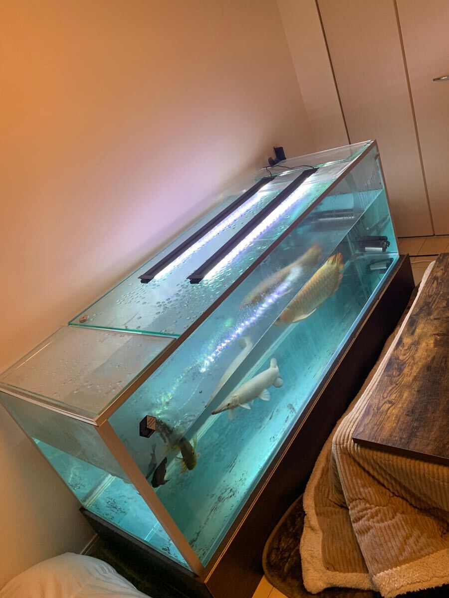 ガラス水槽用 ADA 1800/600/600 水槽 水槽台 ガラス蓋 外部 ガラス水槽用 ADA 1800/600/600 水槽 水槽台 ガラス蓋 外部