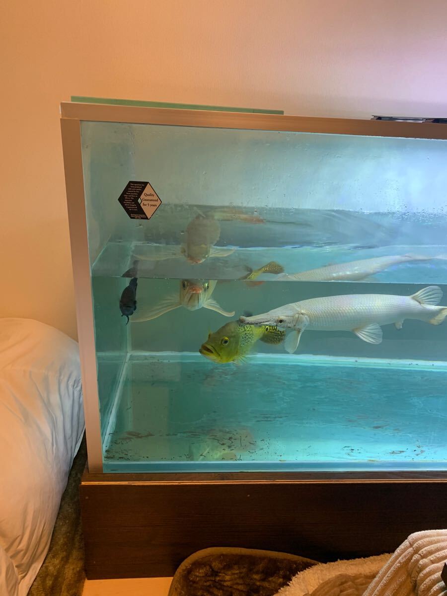 ガラス水槽用 ADA 1800/600/600 水槽 水槽台 ガラス蓋 外部 ガラス水槽用 ADA 1800/600/600 水槽 水槽台 ガラス蓋 外部