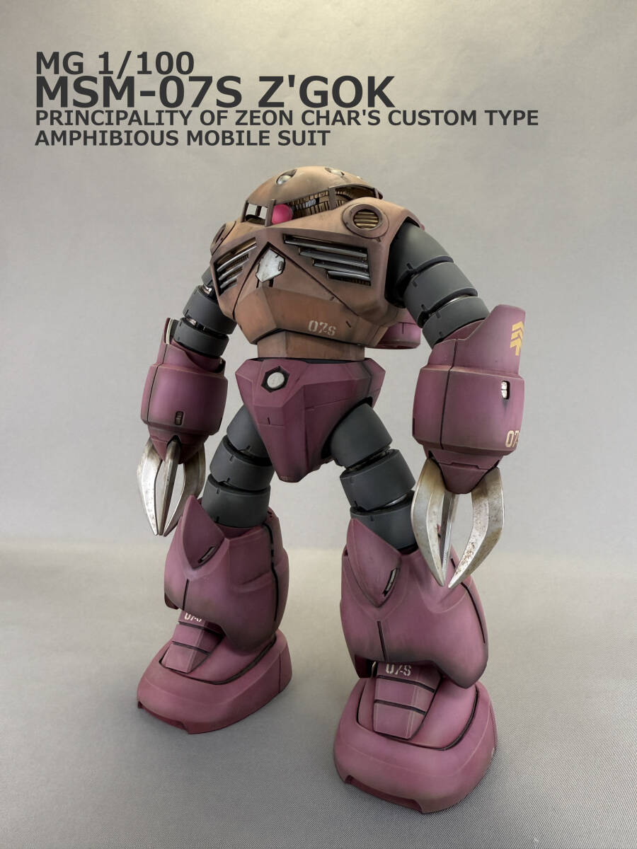 MG 1/100 シャア専用ズゴック 塗装済 完成品 ガンプラ