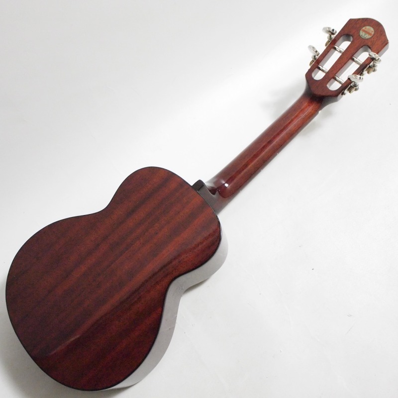aNueNue aNN-AMM2 Africa Mahogany II концерт укулеле красное дерево [anene]