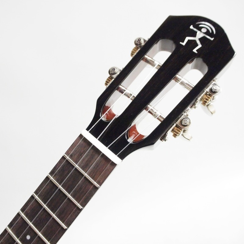aNueNue aNN-AMM2 Africa Mahogany II концерт укулеле красное дерево [anene]