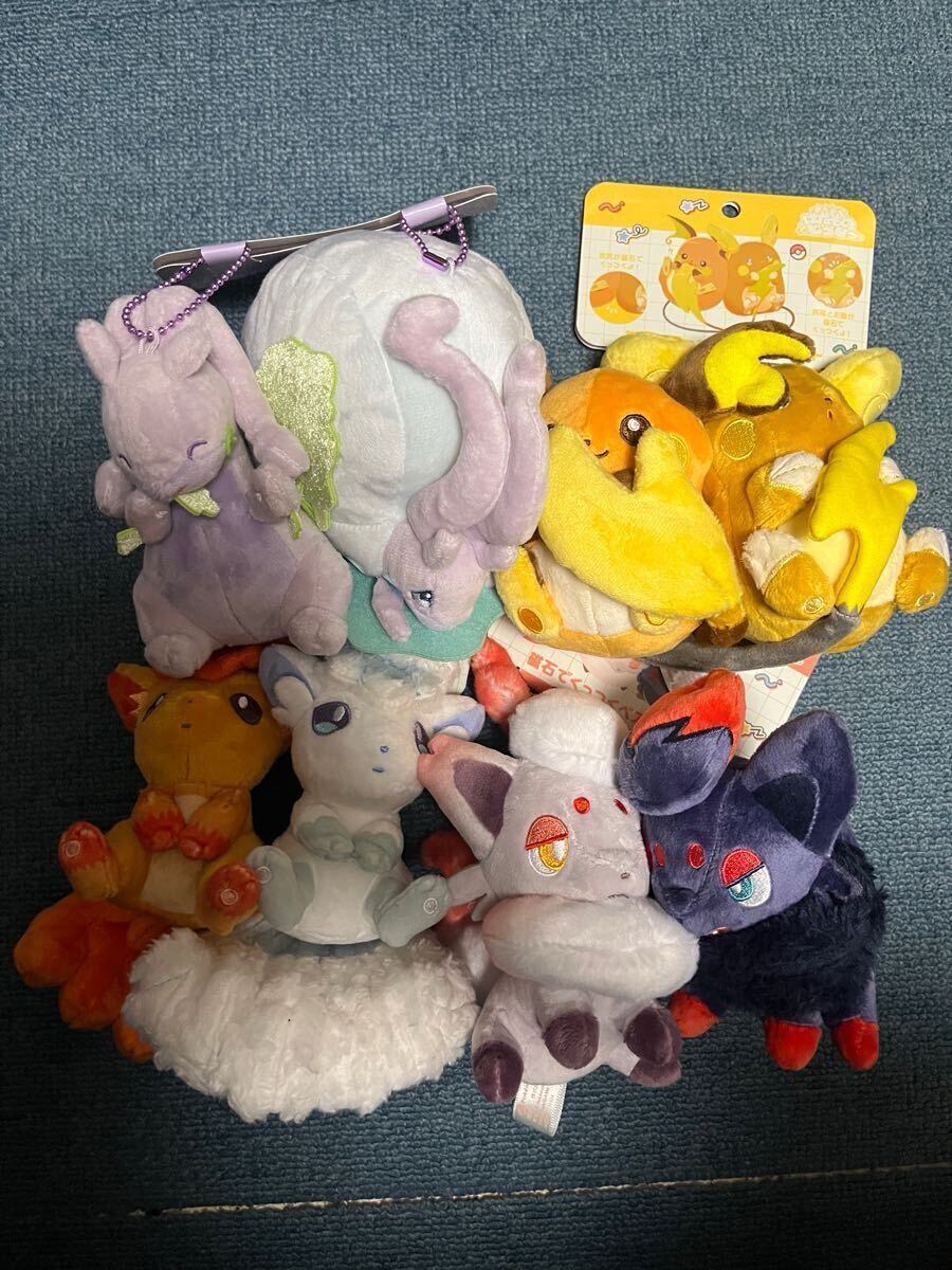 ポケセン にたものどうし マスコット ライチュウ ロコン ゾロア ポケセン にたものどうし マスコット ライチュウ ロコン ゾロア
