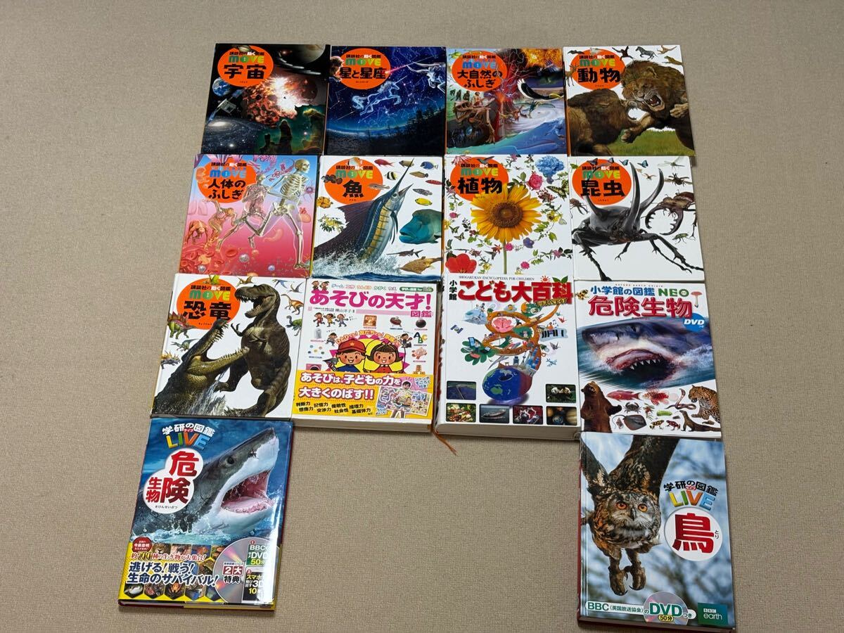 図鑑セット