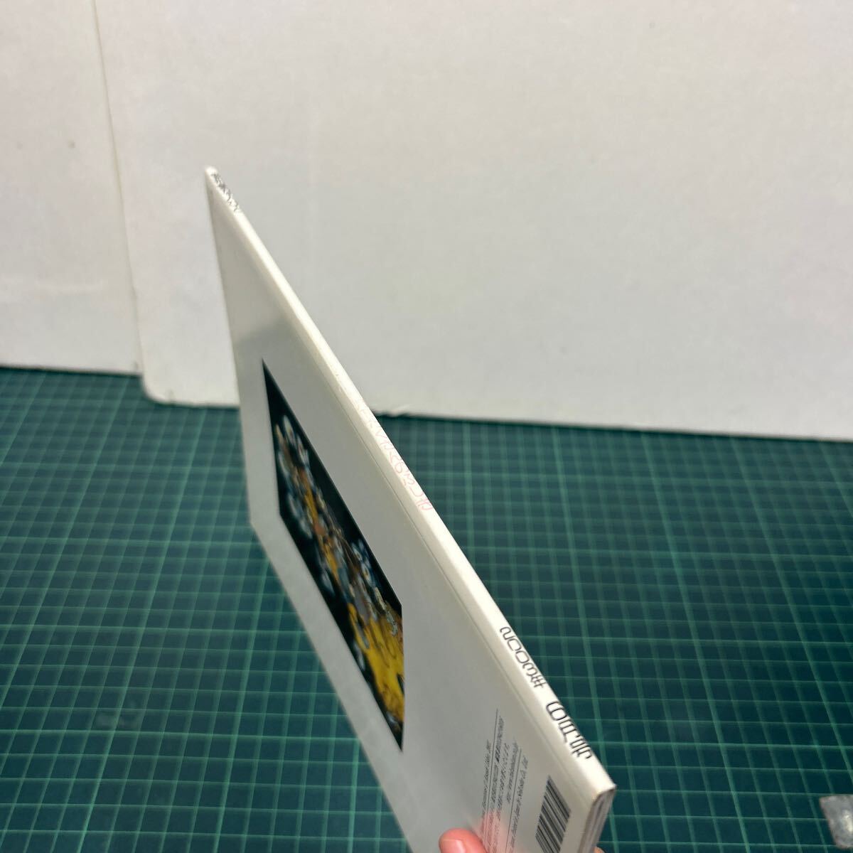 月刊 たくさんのふしぎ 2003年6月号 第219号 変形菌な人びと 越智典子(文) 井沢正名(写真) 牛尾篤(絵) 植物_画像2