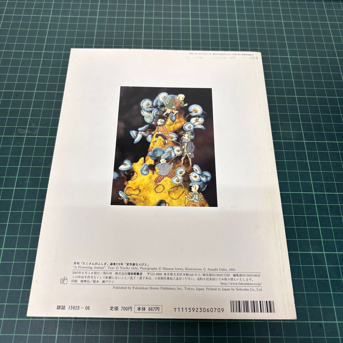 月刊 たくさんのふしぎ 2003年6月号 第219号 変形菌な人びと 越智典子(文) 井沢正名(写真) 牛尾篤(絵) 植物_画像3