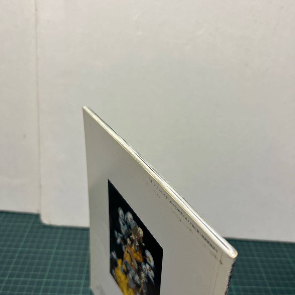 月刊 たくさんのふしぎ 2003年6月号 第219号 変形菌な人びと 越智典子(文) 井沢正名(写真) 牛尾篤(絵) 植物_画像4