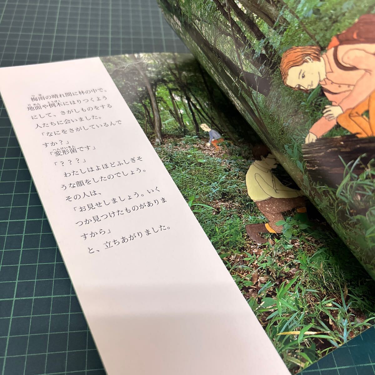 月刊 たくさんのふしぎ 2003年6月号 第219号 変形菌な人びと 越智典子(文) 井沢正名(写真) 牛尾篤(絵) 植物_画像5