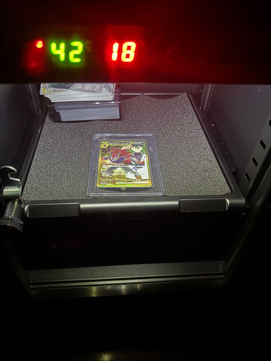 ポケモンカード エラー品 Nのゾロアーク ex UR バトル ポケモンカード エラー品 Nのゾロアーク ex UR バトル