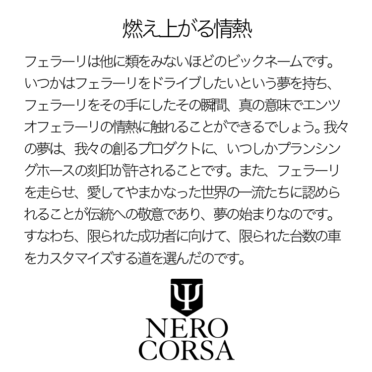 マセラティ ギブリ Ghibli 高級 フロント ガラス カバー 凍結防止サンシェード シート 霜よけ 雪避け 雪 霜 01_画像10