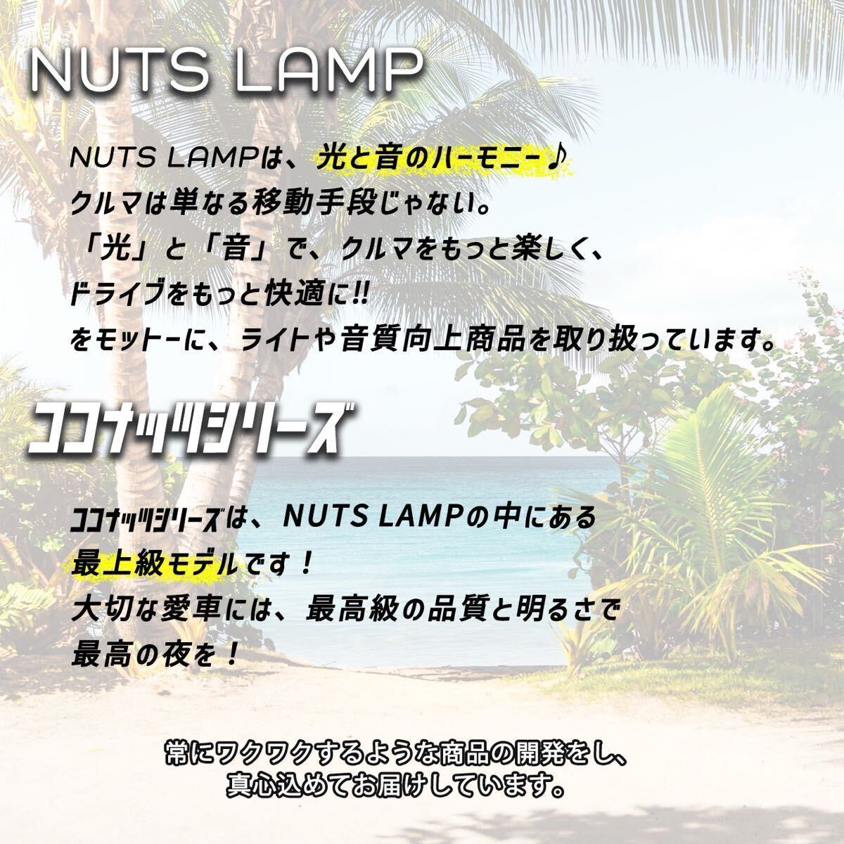 NUTSLAMP 車 ライト フォグライト フォグランプ H9 H16 LED オトナホワイト HID超え 超明るい 爆光 白色