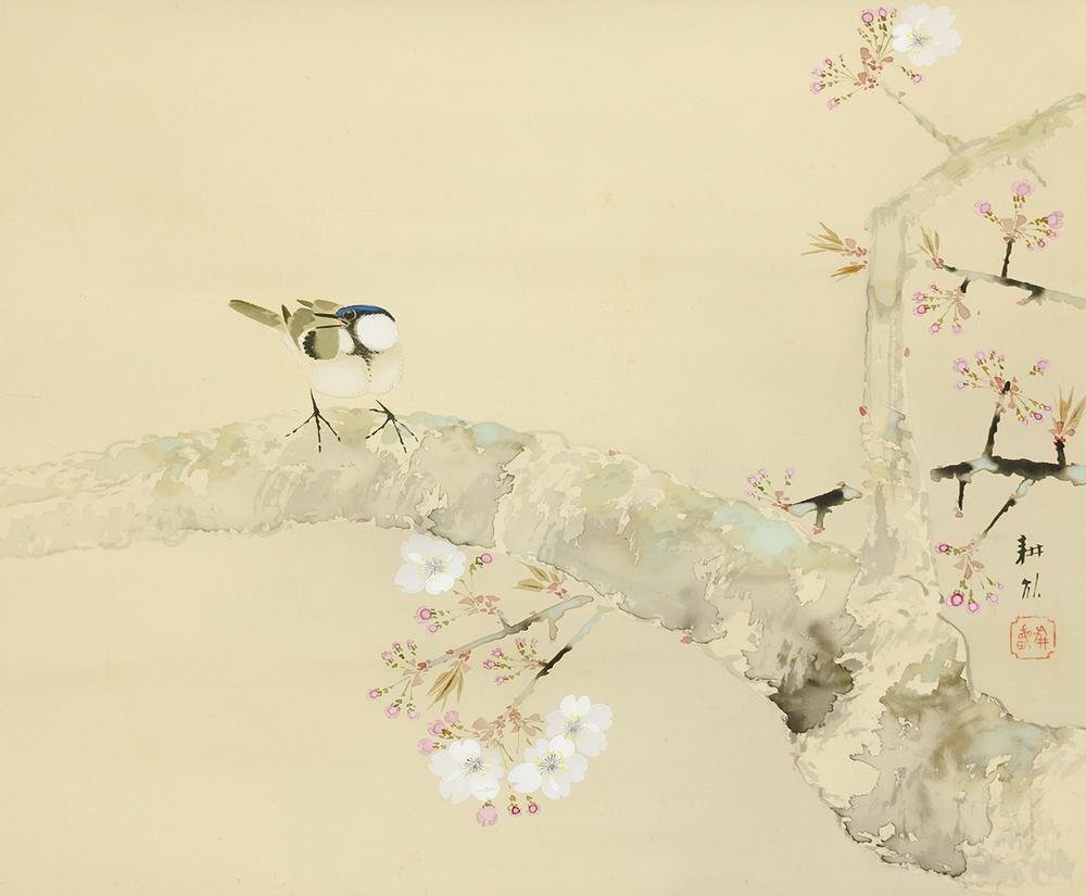真作】【WISH】五島耕畝「陽春」日本画 掛軸 絹本 共箱 ◇桜に小 真作】【WISH】五島耕畝「陽春」日本画 掛軸 絹本 共箱 ◇桜に小