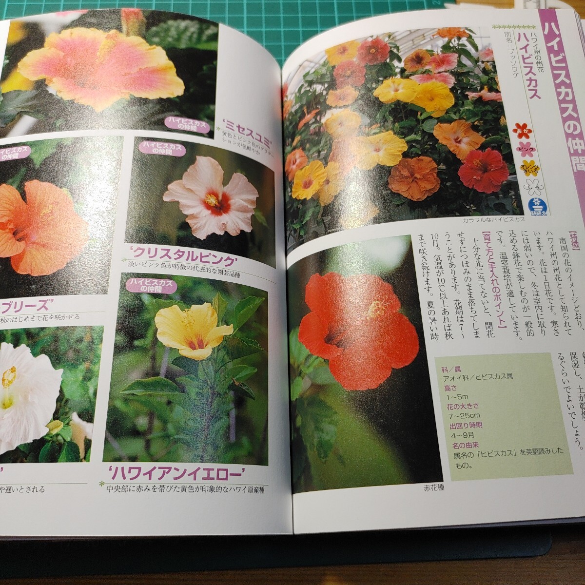 item_image_6