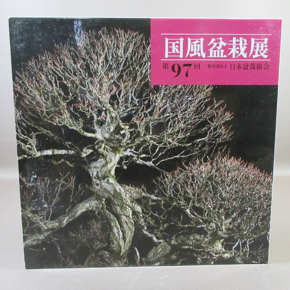 VA900●国風盆栽展 第97回 一般社団法人日本盆栽協会
