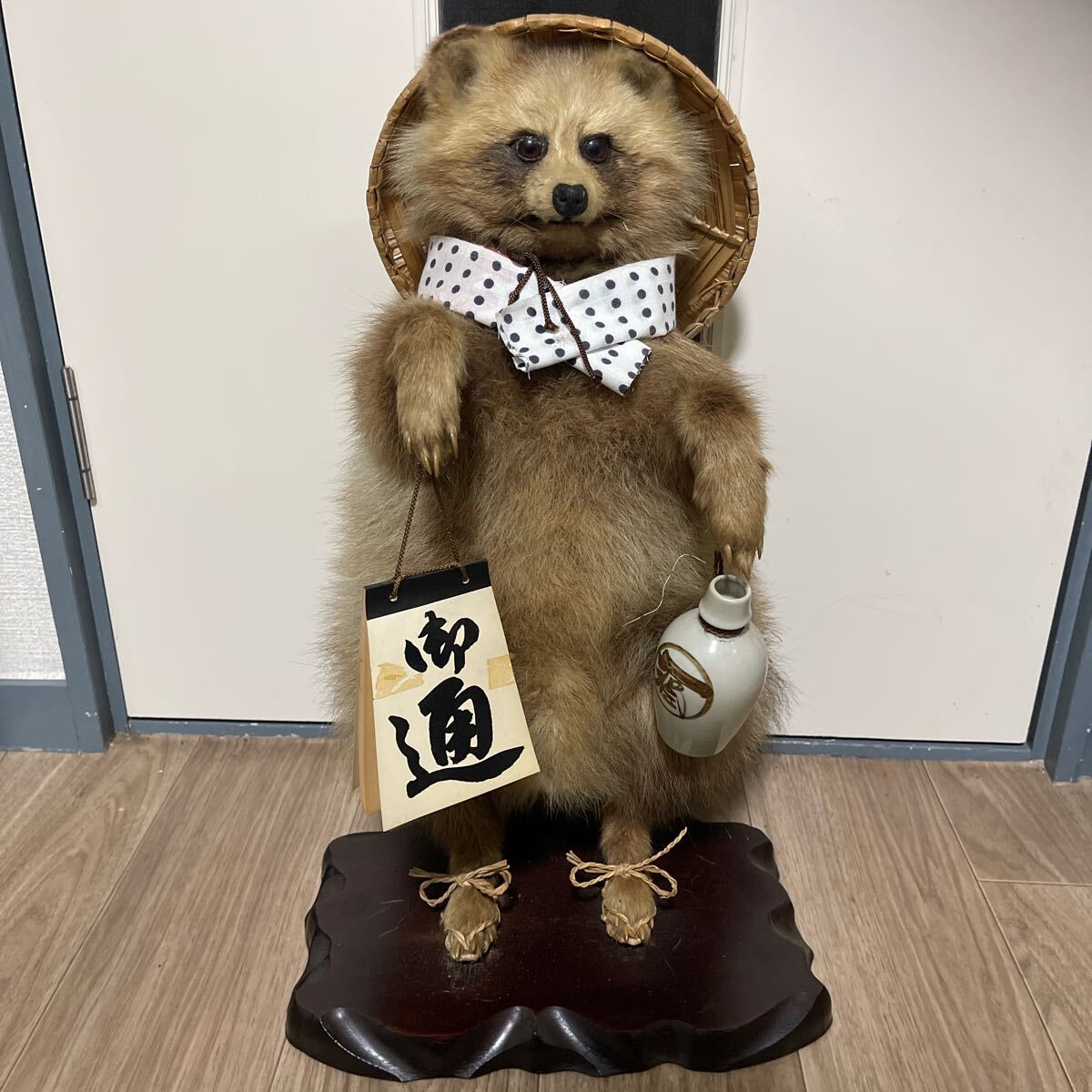 ◯狸 タヌキ たぬき 剥製 かわいい 狸 本物 置物 縁起物 商売 ◯狸 タヌキ たぬき 剥製 かわいい 狸 本物 置物 縁起物 商売