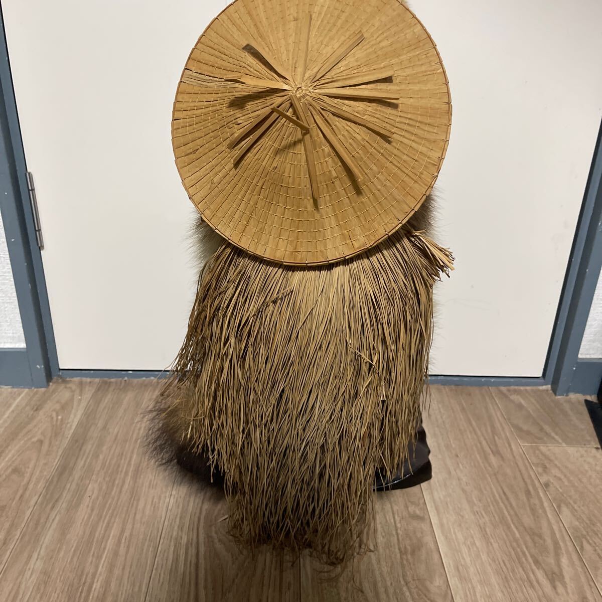 ◯狸 タヌキ たぬき 剥製 かわいい 狸 本物 置物 縁起物 商売 ◯狸 タヌキ たぬき 剥製 かわいい 狸 本物 置物 縁起物 商売