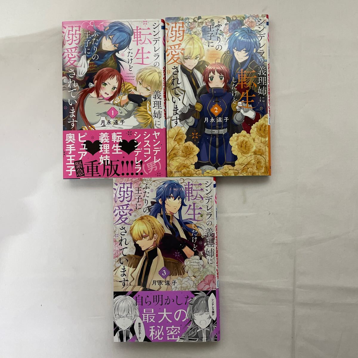 シンデレラの義理姉に転生したけどふたりの王子に溺愛されてい シンデレラの義理姉に転生したけどふたりの王子に溺愛されてい