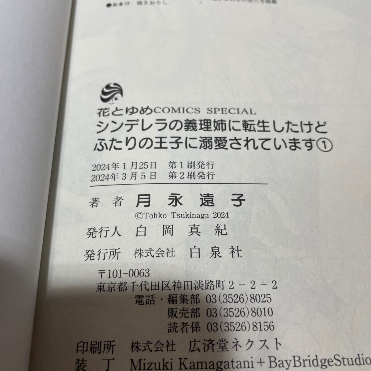 シンデレラの義理姉に転生したけどふたりの王子に溺愛されてい シンデレラの義理姉に転生したけどふたりの王子に溺愛されてい