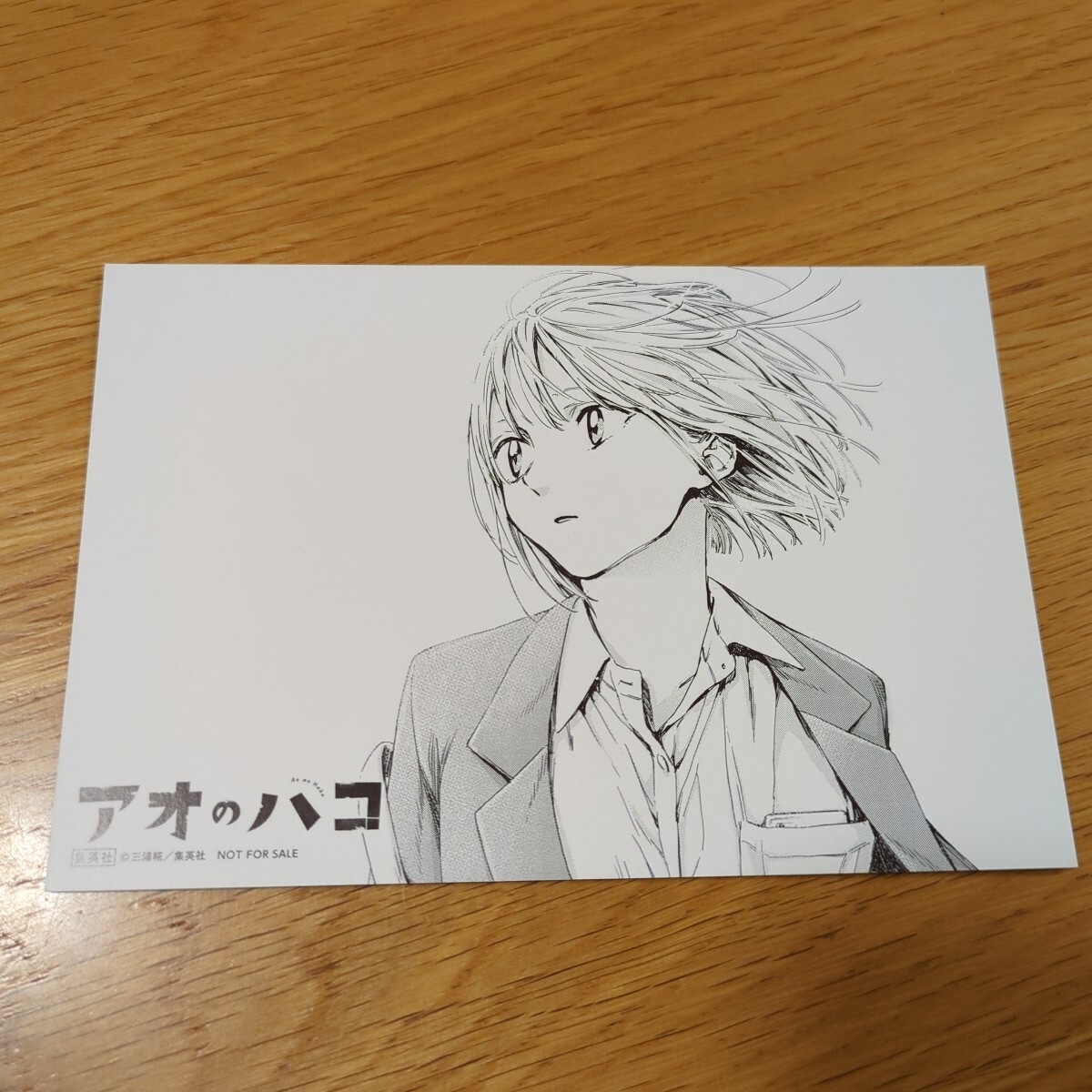 非売品】アオのハコ 18巻 購入特典 イラストカード 三浦糀 鹿野 非売品】アオのハコ 18巻 購入特典 イラストカード 三浦糀 鹿野