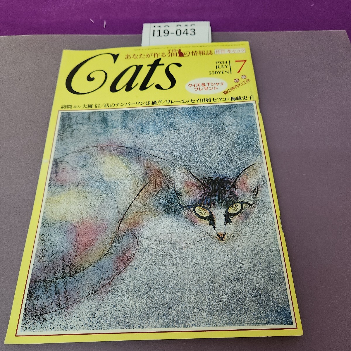 I19-043 月刊キャッツ CATS 1984 7