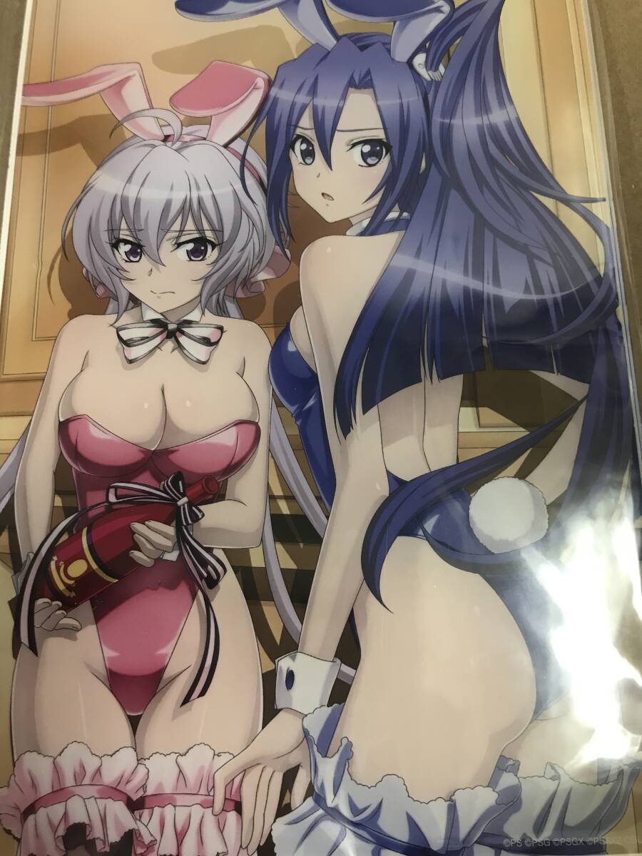 HS限定　戦姫絶唱シンフォギアXD　アクリルプレート　翼＆クリス　バニーガールVer.