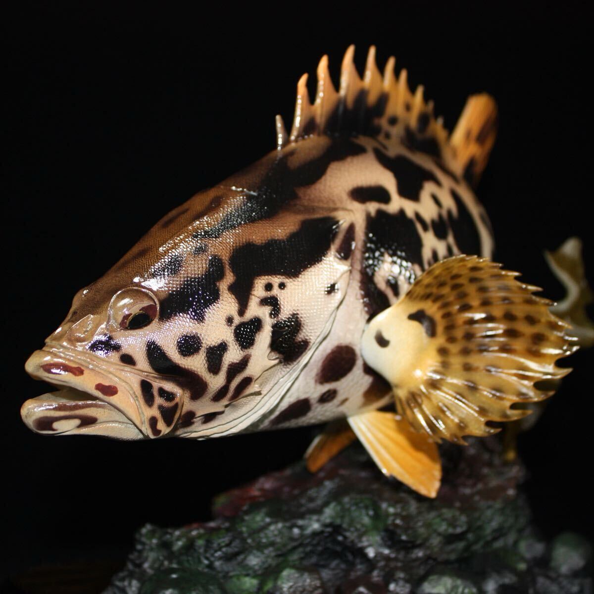 タケノコメバル フィギュア 魚寸30cm 新作限定】1円〜 タケノコメバル フィギュア 魚寸30cm-の公式サイト