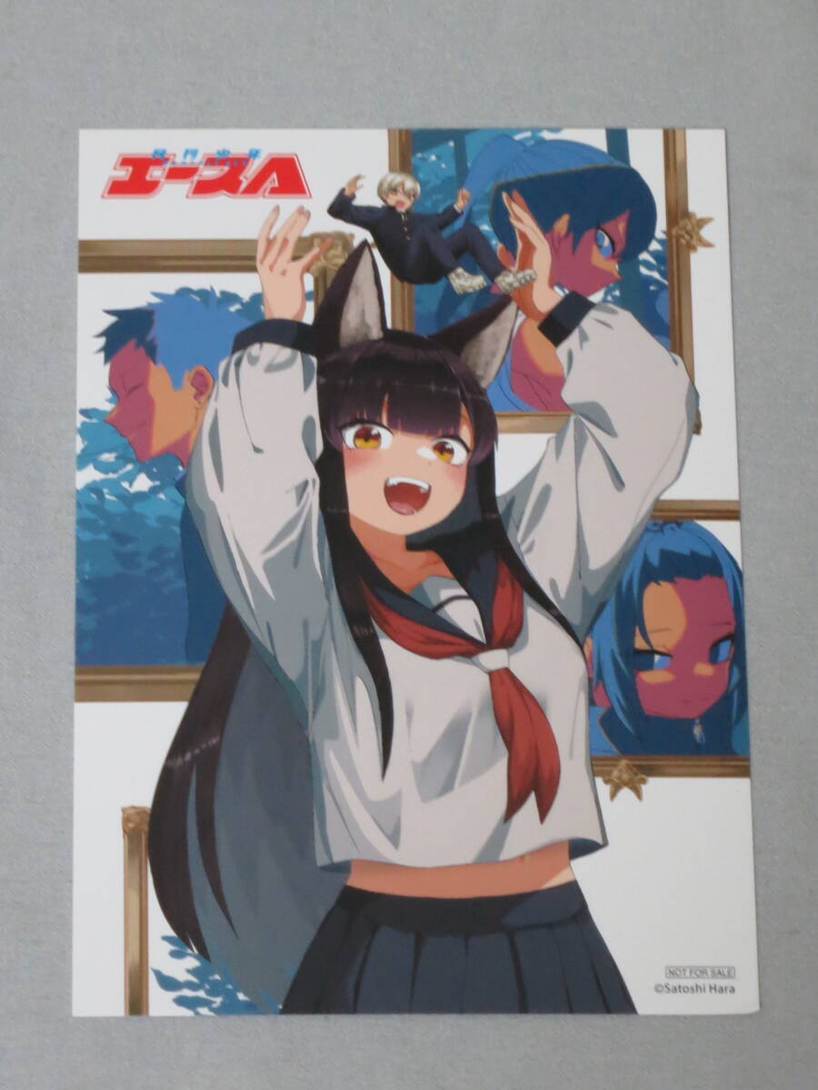 ガルルガール　ゲーマーズ特典イラストカード_画像1