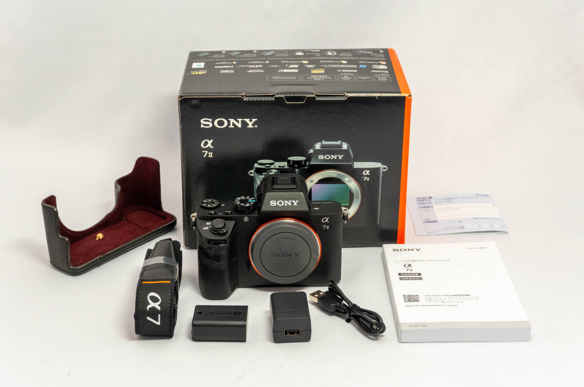ソニー SONY α5100 E 55-210mm 黒 望遠 レンズセット ミラーレス ソニー SONY α5100 E 55-210mm 黒 望遠 レンズセット ミラーレス