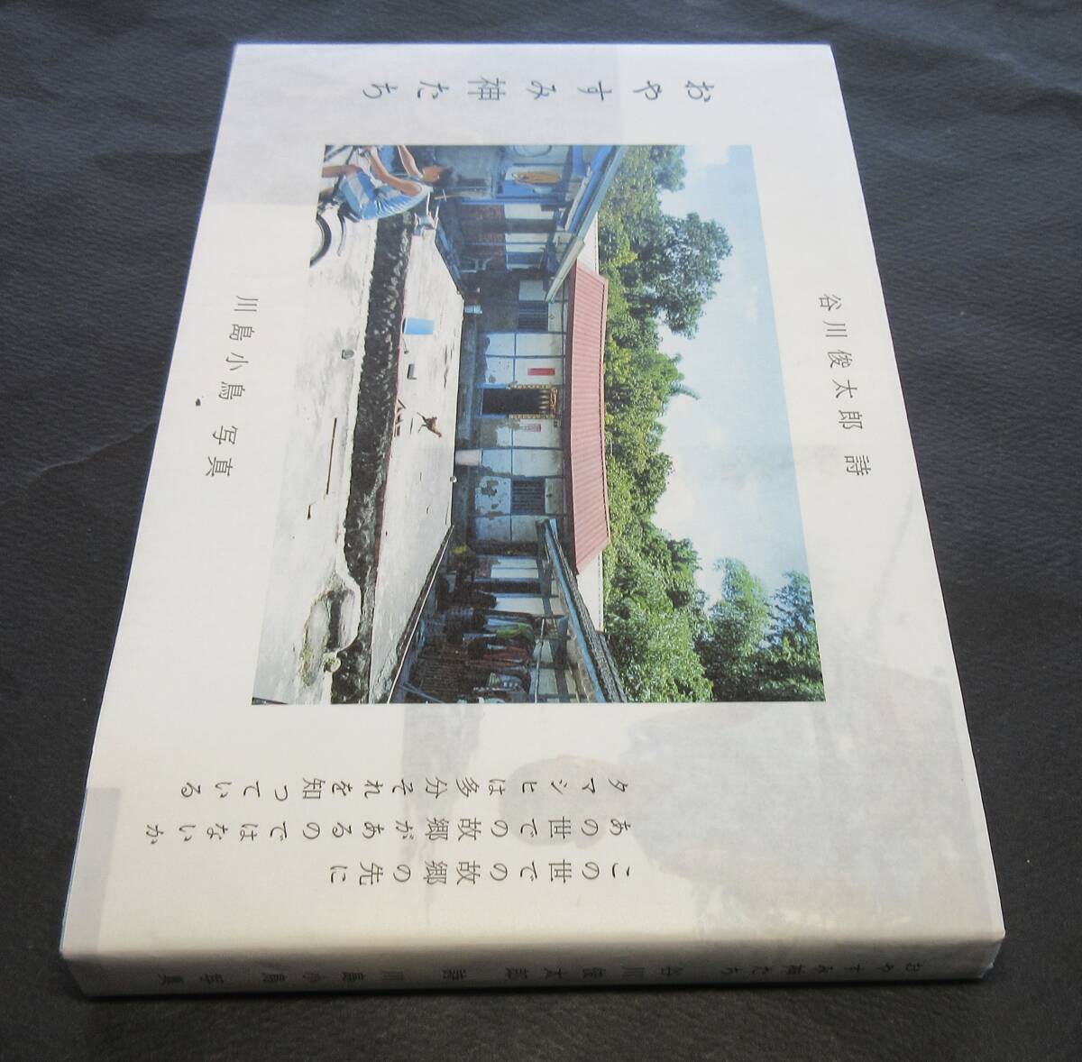 谷川俊太郎(詩) ・川島小鳥(写真)／両者署名(サイン) ●『おやすみ神たち』●ナナロク社刊・2014年・初版・カバー