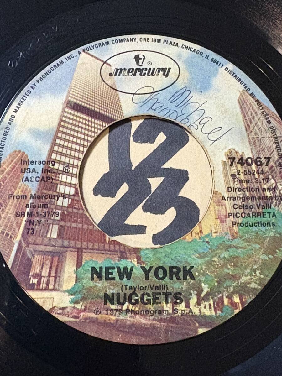 試聴 1979/エルボウ・ボーンズ＆ザ・ラケッティアーズ「NIGHT IN NEW YORK」を思わせる NUGGETS NEW YORK EX+ サディスティックス 今井裕