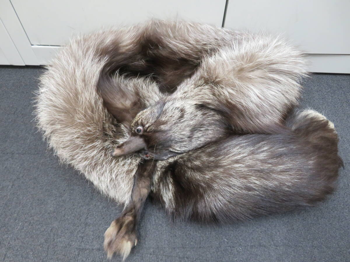 ■□82191 毛皮 FOX フォックス 顔つき ファー マフラー キツネ 襟巻き□■