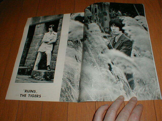 YOUNG ヤング 1968/11 アダムス ザ・タイガース8P ワイルド YOUNG ヤング 1968/11 アダムス ザ・タイガース8P ワイルド