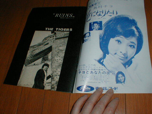 YOUNG ヤング 1968/11 アダムス ザ・タイガース8P ワイルド YOUNG ヤング 1968/11 アダムス ザ・タイガース8P ワイルド