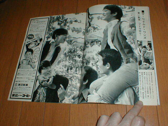 YOUNG ヤング 1968/11 アダムス ザ・タイガース8P ワイルド YOUNG ヤング 1968/11 アダムス ザ・タイガース8P ワイルド