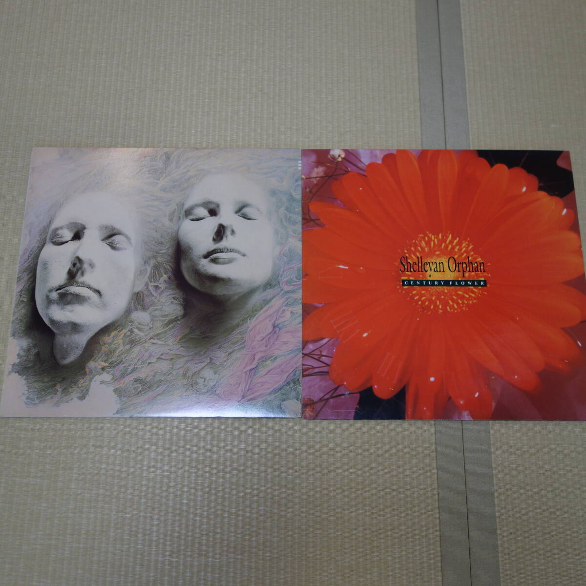 Shelleyan Orphan レコード 2枚 Yahoo!オークション - LP/ 2枚セット/ Shelleyan Orphan