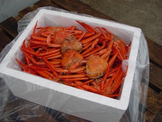 【冷凍】「浜茹で蟹B10kg」蟹食べ放題!!　(紅ずわい蟹)