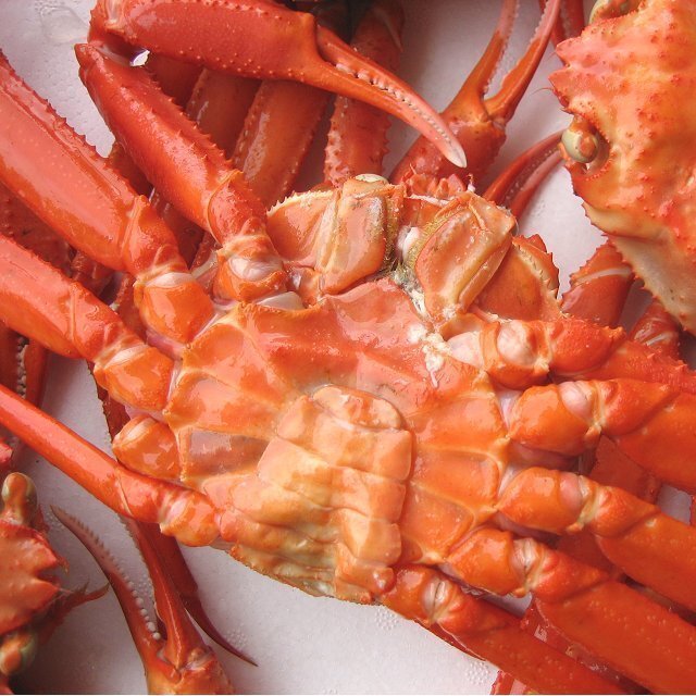 【冷凍】「浜茹で蟹B10kg」蟹食べ放題!!　(紅ずわい蟹)