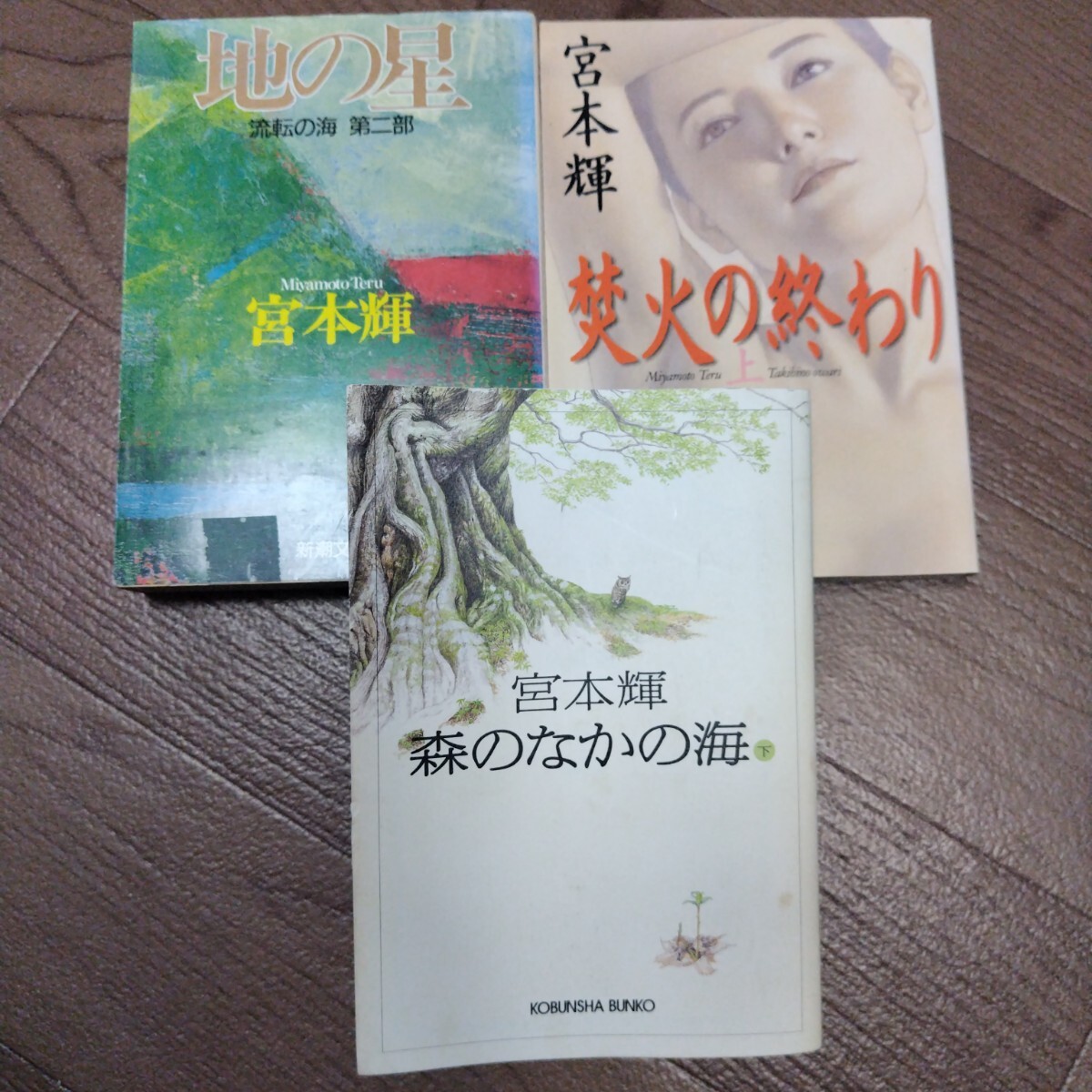 「森のなかの海 下」「焚火の終わり 上」「地の星　流転の海　第二部」　宮本輝