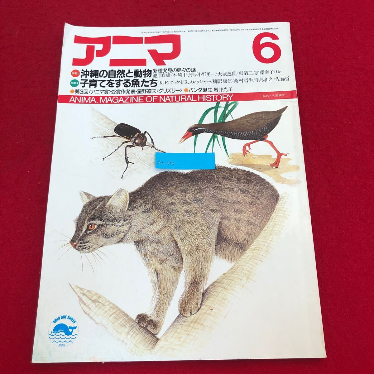 item_image_1