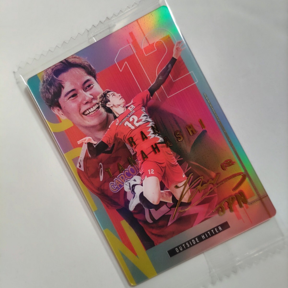 JAPAN NATIONAL VOLLEYBALL TEAM ツインウエハース 金色箔押し JAPAN NATIONAL VOLLEYBALL TEAM ツインウエハース 金色箔押し