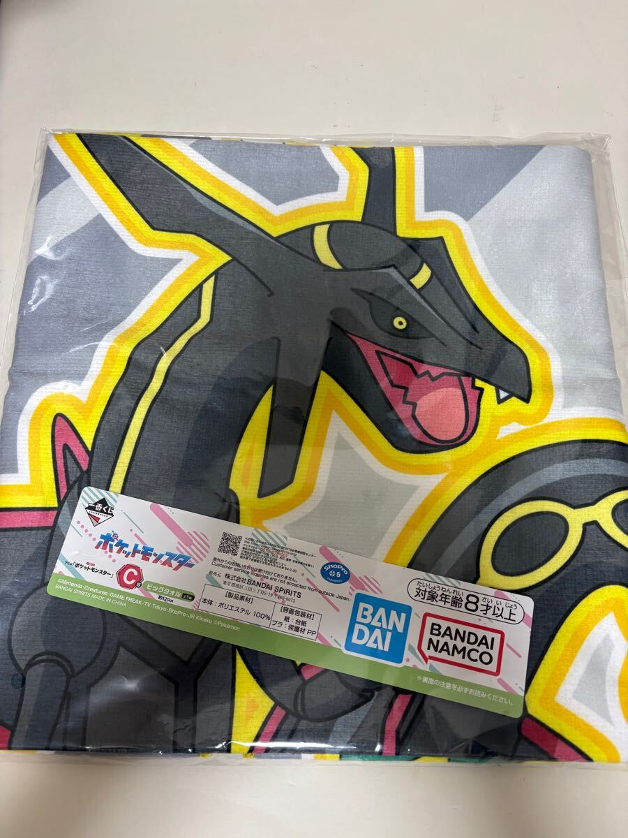 一番くじ ポケットモンスター ポケモン 【B賞 テラパゴス 一番くじ ポケットモンスター ポケモン 【B賞 テラパゴス